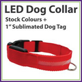 Dog Collar